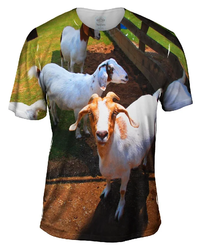 Year-End Clearance Goat Convention